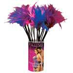 Lover's Feather Ticklers 3 kpl