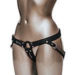Harness for dildos