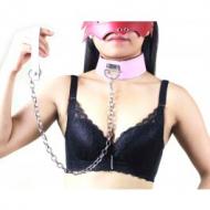 Pink wide collar with leash