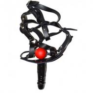 Harness with ball gag and dildo