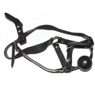 Harness with ball gag