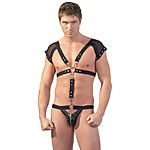 Robin Harness