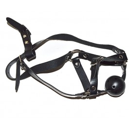 Harness with ball gag